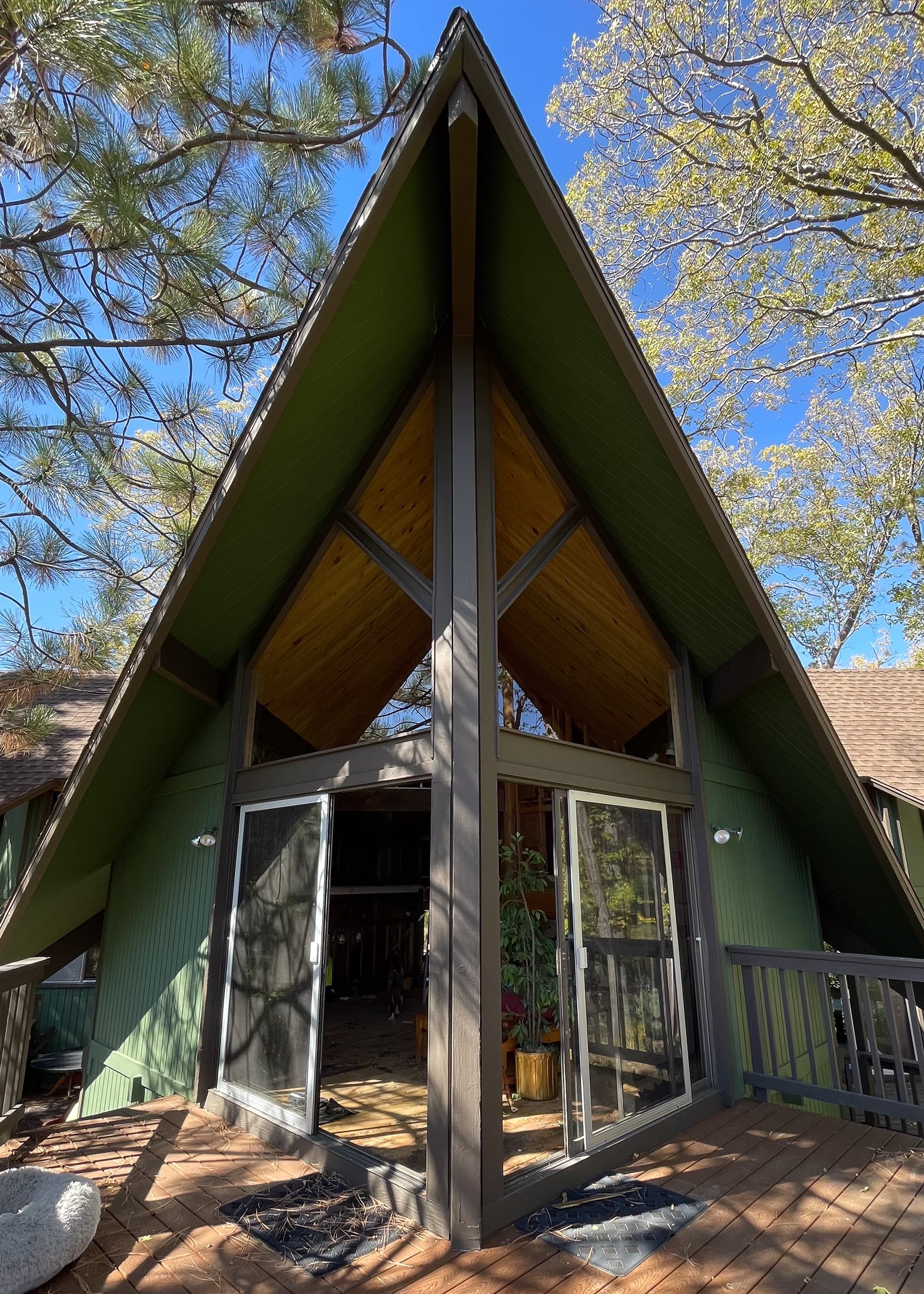 Alpen: A green A-frame in the pines, where architecture is the character.